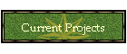 Current Projects
